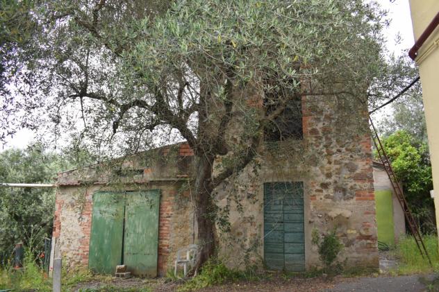 TERRATETTO di 7 vani e di 390 mq (LARCIANO - Cecina di Larciano) rif. L 140 - Foto 6