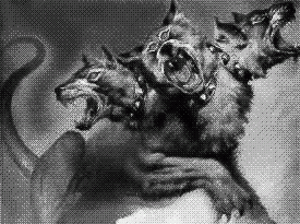 Addestramento cani