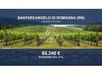 Immobile in asta di 12082 m² in vendita a Santarcangelo di Romagna