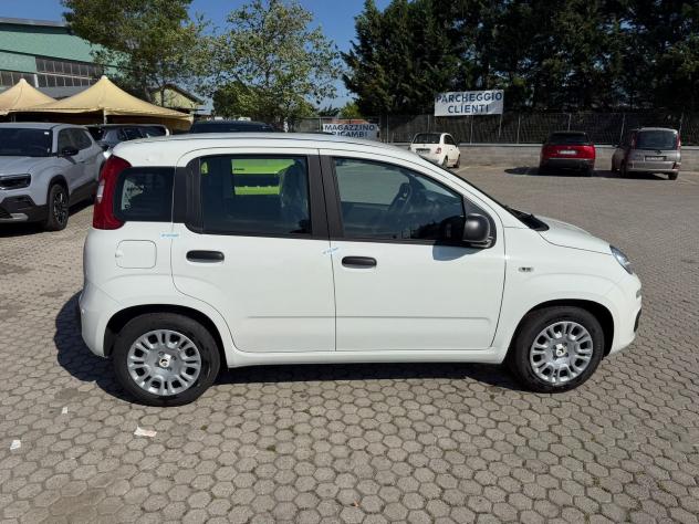 FIAT Pandina 1.0 FireFly 65cv S&S 6m Hybrid Icon - Foto 8