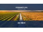 Immobile in asta di 17280 m² in vendita a Cessaniti
