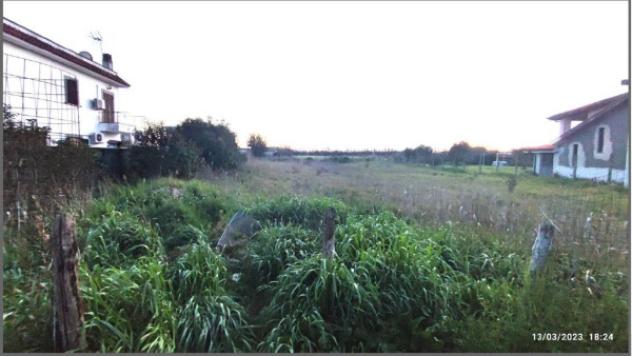 Immobile in asta di 1363 m² in vendita a Fiumicino - Foto 5