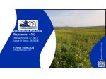 Immobile in asta di 33570 m² in vendita a Paceco