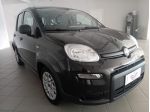 FIAT Panda 3ª serie Panda 1.0 FireFly S&S Hybrid
