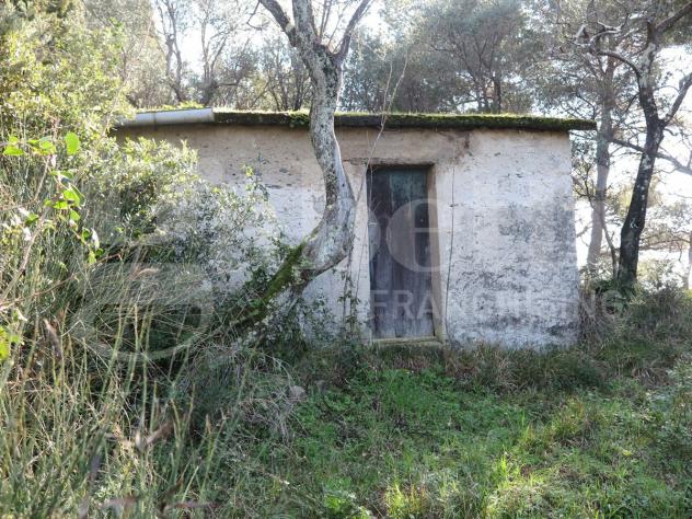 Rustico/Casale/Corte - Lerici . Rif.: 629VRG - Foto 13