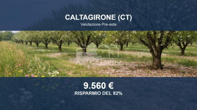 Immobile in asta di 35824 m² in vendita a Caltagirone