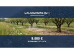 Immobile in asta di 35824 m² in vendita a Caltagirone