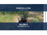 Immobile in asta di 24326 m² in vendita a Remedello