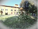 Terratetto in vendita a San Frediano a Settimo - Cascina 390 mq  Rif: 1422975