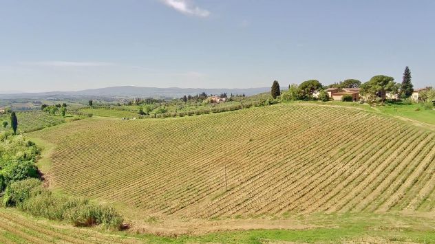 Ettari di VIGNA - Colli fiorentini