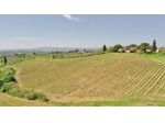 Ettari di VIGNA - Colli fiorentini