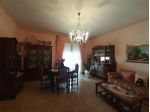043 trivani
