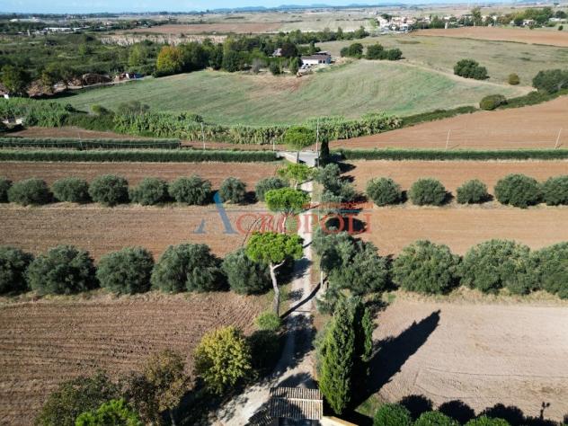 Complesso Misto 13 locali - Rif. 2714 - Foto 6