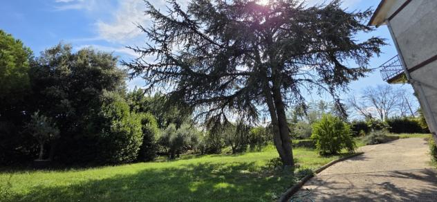Casale in vendita a Morlupo - Foto 14
