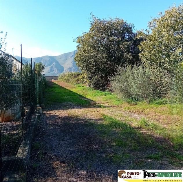 Via Galletti vendesi terreno agricolo 11.000 mq, pianeggiante - Foto 6