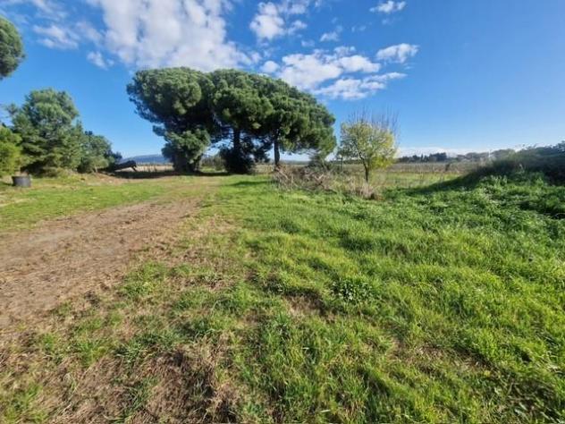 Colonica in vendita a Vada - Rosignano Marittimo 400 mq Rif: 1296852 - Foto 8
