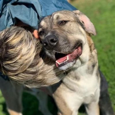RIO AMOREVOLE E SOCIEVOLE CANE IN ADOZIONE