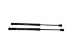 PISTONCINI COFANO POST. KIA Niro Serie 81781G5000 (16)