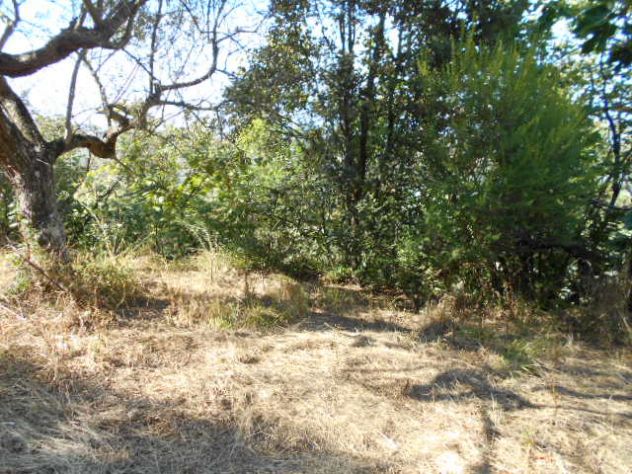 Perdifumo, Terreno Di 18.000 Mq Vista Mare Con Un Rudere - Foto 3