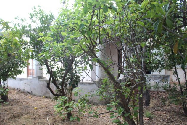 Lipari Isole Eolie,rif.1091splendida villa patronale in zona privilegiata - Foto 5