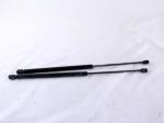 41617066566 COPPIA PISTONCINI ASTE AMMORTIZZANTI PORTELLONE COFANO POSTERIO &hellip;