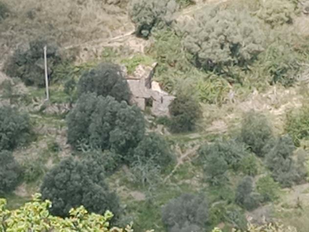 Agricolo in Contrada Macchia di Fiume - Foto 3