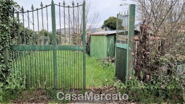 Agricolo in vendita a Rocca di Papa