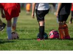 Associazione Osservatori Calcio