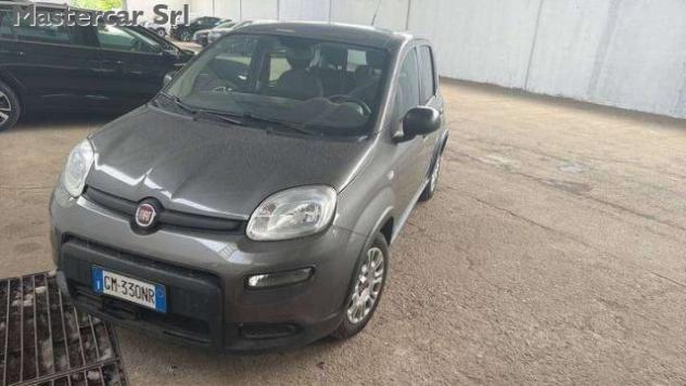 FIAT Panda Panda NEOPATENTATI 1.0 firefly hybrid TG : GM330N rif. 23811447 - Foto 2