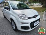 FIAT Panda 1.0 FireFly S&S Hybrid UN. PROP. rif. 24148189