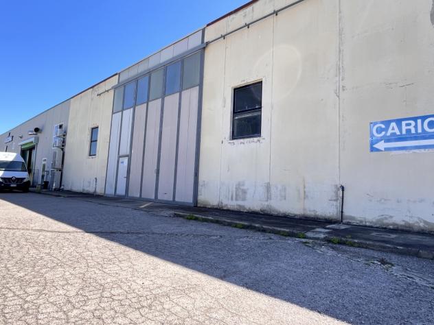 Commerciale in vendita a Rosignano Marittimo - Foto 8
