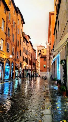 Locale commerciale in affitto a Lucca - Foto 5