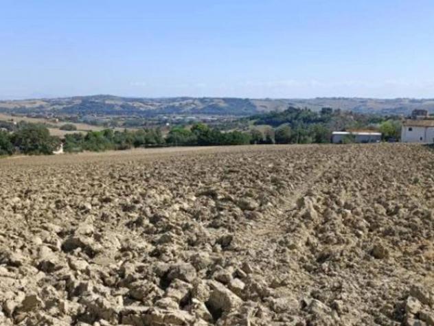 Immobile in asta di 15707 m² in vendita a Mondolfo - Foto 2