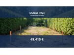 Immobile in asta di 793 m² in vendita a Scicli