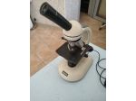 Microscopio