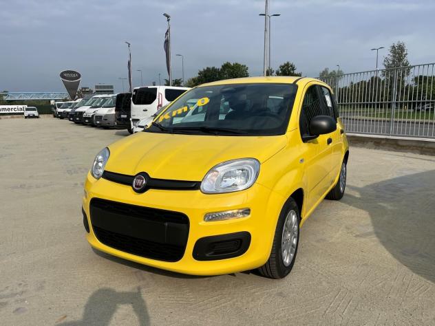FIAT Pandina Pandina 1.0 firefly hybrid Icon s&s 65cv