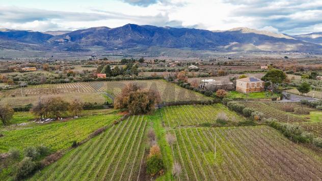 Terreno Edificabile in vendita a Randazzo, Montelaguardia - Foto 2