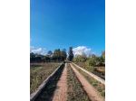 TERRENO AGRICOLO