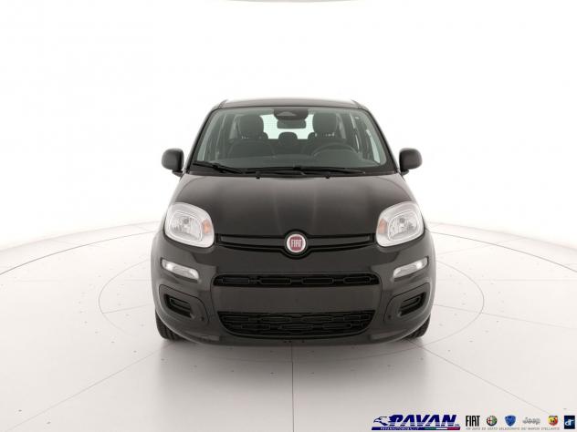 FIAT Pandina Panda 1.0 FireFly 65 CV Hybrid Icon - Foto 2