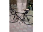 Moser da corsa