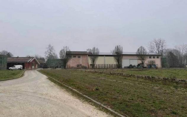Immobile in asta di 40655 m² in vendita a Morgano - Foto 6