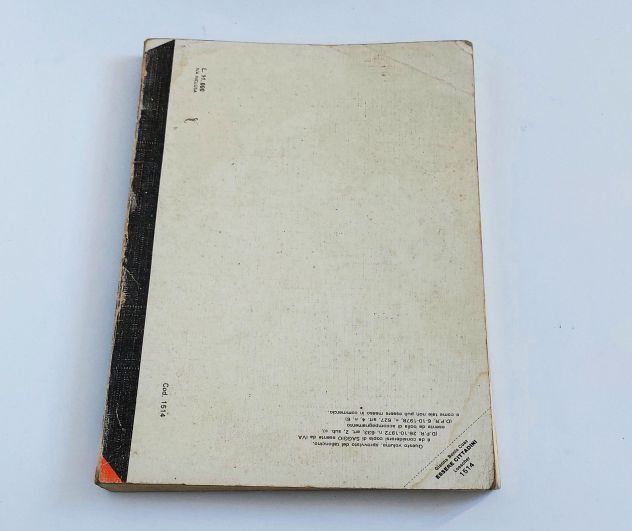 📘 ESSERE CITTADINI - Educazione Civica - Loescher Editore - Foto 2