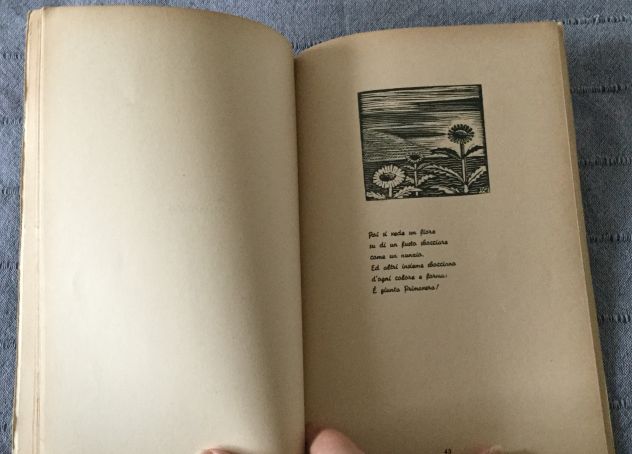 SILOGRAFIE E PAROLE - Foto 3