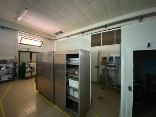 Immobile in asta di 234 m² in vendita a Grosseto - Foto 10