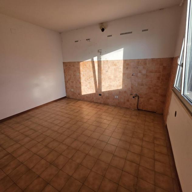 Appartamento in affitto a Bientina 70 mq Rif: 1455479