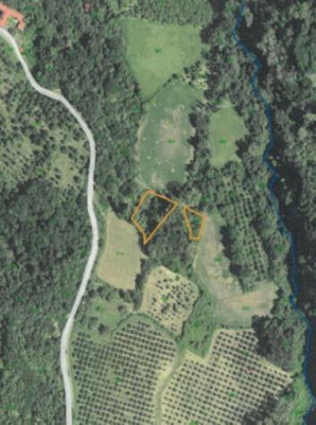 Immobile in asta di 12150 m² in vendita a Monastero Bormida - Foto 3