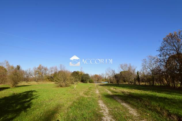 TERRENO AGRICOLO di 54401 mq (QUARTO D'ALTINO) rif. SWD1 - Foto 5