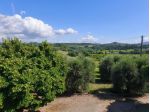 Rustico in vendita a Terricciola 750 mq  Rif: 1422164