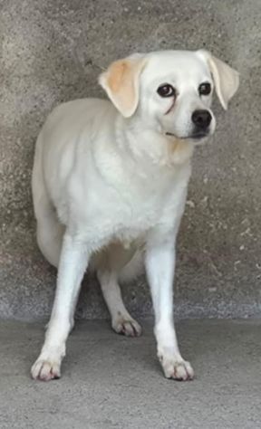 BRICIOLA 14 ANNI - Foto 4