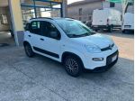 FIAT Panda 3ª serie Panda 1.0 FireFly S&S Hybrid City Life